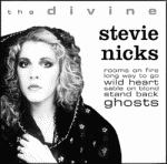 The Divine Stevie Nicks cover (click it)